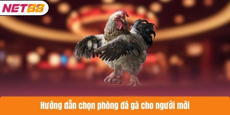 Hướng dẫn chọn phòng đá gà cho người mới