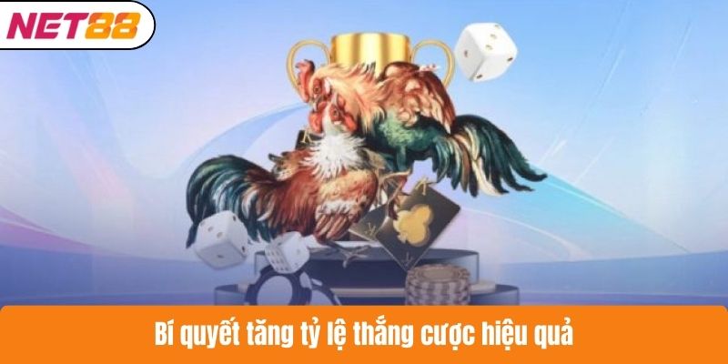Bí quyết tăng tỷ lệ thắng cược hiệu quả