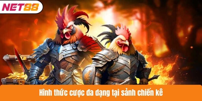 Hình thức cược đa dạng tại sảnh chiến kê