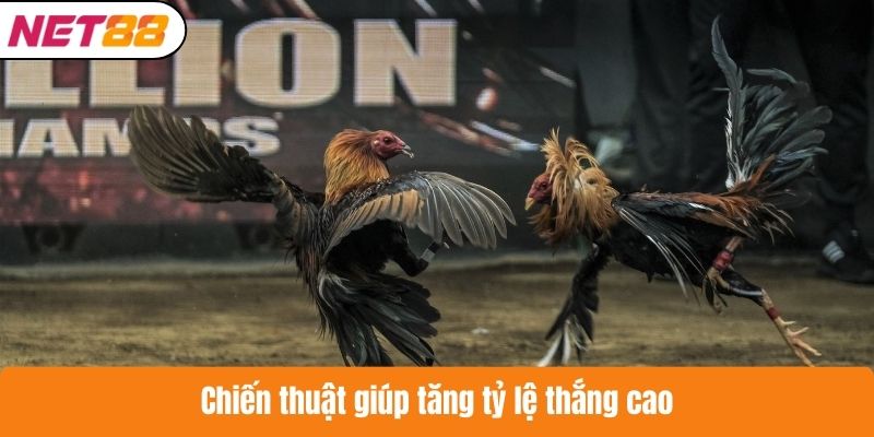 Chiến thuật giúp tăng tỷ lệ thắng cao
